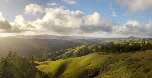Looking north from Barnabe Fire Road in Samuel P Taylor Park, Samuel P. Taylor State Park