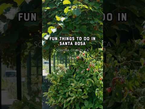 Fun Things to Do in Santa Rosa, Sonoma County, California video thumbnail